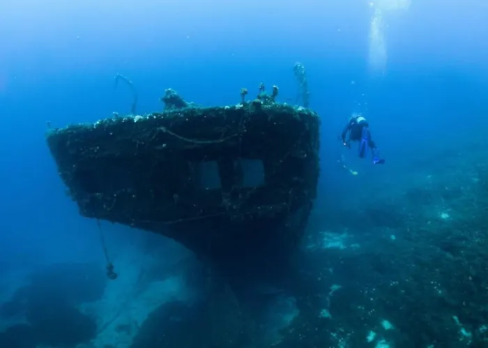 Rural Guest House, Quiet In Nature With Sea View Lägenhet *